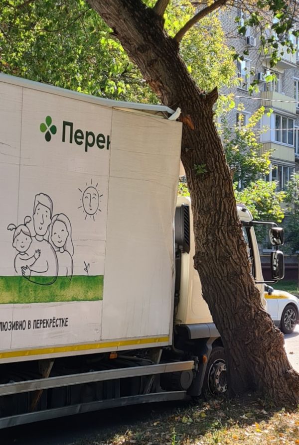 Дерево на дороге